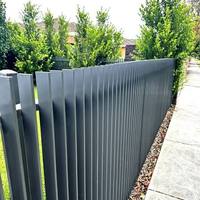 Valla de Cuchillas Verticales Personalizada de Fábrica, Valla de Cuchillas Verticales de Acero Negro para Piscina, Popular OEM y ODM, Estándar Australiano