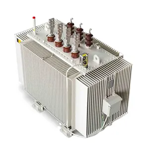 Outdoor Olie-Ondergedompelde Vermogenstransformator 11kv 33kv 50kva 100kva 200kva 300kva S11 Elektrische Kracht Driefasige 220V/380V Output 10kv