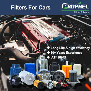 OEM filter oli pelumas mesin otomotif mobil untuk Filters W67/80 W 67/1 Filters 1501009 1N03-14-302 - Product Image 5