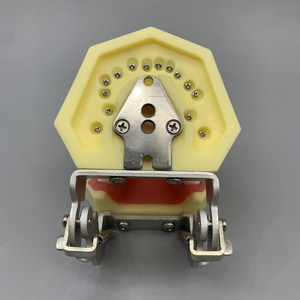 Oraal Model Voor Het Oefenen Van Parodontale Pathologie Tandheelkundige Calculusschaling - Product Image 6
