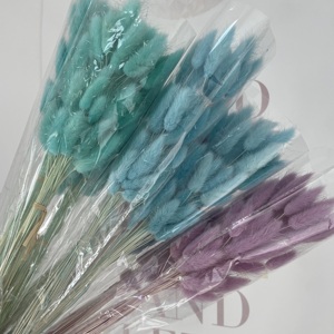 60 tiges de fleurs séchées et préservées du <span class=keywords><strong>Lagurus</strong></span> (Queue de Lapin) - Longue durée, écologiques, pour la Saint-Valentin, la Fête des Mères, Pâques - Product Image 3