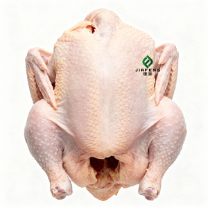 Halal Certified Frozen Whole Chicken <strong>Cooked</strong> Steamed Box Farm Direct Bulk Supply Export Standard - Product Image 6