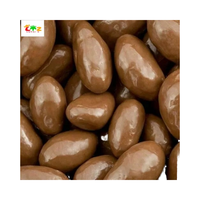 Modèle de barre solide infusé de raisins secs recouverts de chocolat au lait italien de haute qualité 10 kg dans un sac en PP dans une boîte en PA prête à vendre