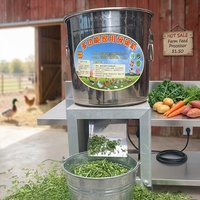 Hachoir Électrique Multifonctionnel en Acier Inoxydable pour Fruits et Légumes, Broyeur de Forage, Mini Broyeur d'Aliments pour Volaille, Idéal pour Petites Exploitations Agricoles - Vente Directe Usine à Prix Abordable