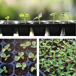 Halbautomat ische Lochschalen-Sämling maschine Pfeffersämling-Sä maschine Pflanzliche Drucklochschalen-Sä maschine - Product Image 6