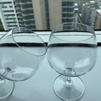 Flûtes à Brandy en Plastique Sans BPA de 8 oz Préférentielles, 100% Tritan, Verre à Vin en Plastique