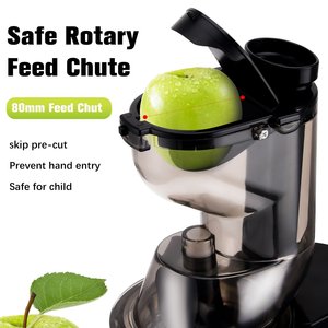 Usine chinoise Machines à mastiquer les fruits et les légumes Nettoyage facile auto pour jus Rendement élevé Presse-fruits à froid sans BPA