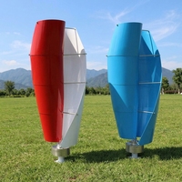Alternateur Maglev 220V 3Kw 10Kw avec fonction de protection parfaite, petite éolienne spirale en forme de tulipe