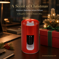Diffuseur d'aromathérapie HIITII, usage commercial et de bureau, décoratif de luxe, moderne, huile essentielle pure, nébulisation sans eau, voiture, hôtel