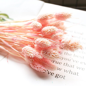 Fleurs séchées biologiques en gros Summer <span class=keywords><strong>Flora</strong></span> pour la décoration intérieure, fleurs de Jewelweed pour la décoration de la maison - Product Image 5