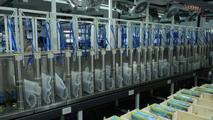 Pompe solaire DC SUNDANKA durable 4/6 pouces avec impulsionneur en acier inoxydable, pompe submersible sans balais pour puits isolés et puits d'eau - Product Image 6