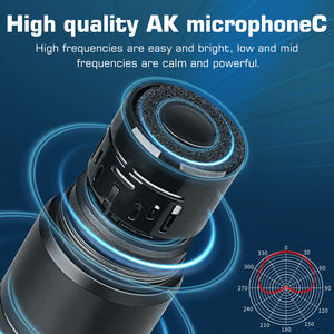 Micrófono Inalámbrico Cardioide de Condensador Profesional DX11 con Reducción de Ruido y Construcción Metálica para Karaoke de 2 Canales - Product Image 6