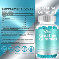 Gummies de créatine monohydrate 100 % véganes au goût naturel de myrtille OEM, 3000 mg de créatine et protéines, compléments alimentaires