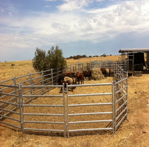 Sắt thiết kế hàng rào 6ft tạm thời hàng rào panels hot nhúng mạ kẽm gia súc - Product Image 3