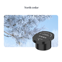 Mise à niveau de la machine d'aromathérapie de voiture de parfum durable de stockage de grande capacité pour purifier l'air