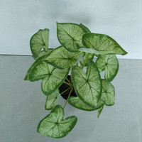 Bonsaï artificiel en soie, feuilles de Syngonium Papillon Vert, Tannia, Arrowleaf, Oreille d'Éléphant, Taro, 40 cm, centre de table pour mariage et Noël