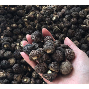 Champignons Shiitake bruts cultivés en vrac, <span class=keywords><strong>de</strong></span> qualité supérieure, 1,5-2 cm, petits, pour l'hiver - Product Image 2