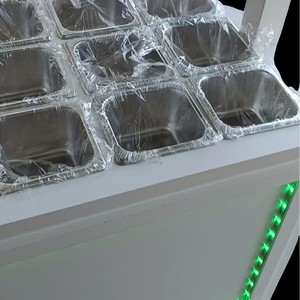 Klayya Wooden Stall <b>Stand</b> 4 Wheel Outdoor Mobile Food Cart With Lights And Display Racks For <b>Night</b> Market Use - Product Image 4