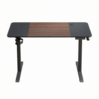 Bureau debout électrique réglable en hauteur, extensible, 120x60cm, rectangulaire, pieds en T en acier, plateau en bois, contrôle de mémoire, anti-collision