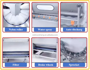 Machine à éplucher <span class=keywords><strong>automatique</strong></span> à brosse pour le gingembre, le manioc, la patate douce, le citron, la carotte et les légumes. - Product Image 3
