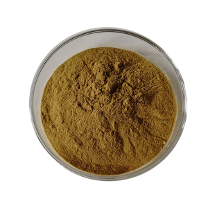 Rifornimento della fabbrica polvere naturale pura dell'estrazione del fiore della margherita della polvere di Bellis perennis - Product Image 2