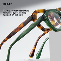 RD29002 Montures de lunettes en plastique de haute qualité, légères et durables, à monture épaisse, inspirées des influenceurs de mode européens
