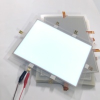Suministro directo de fábrica de alto brillo A0 A1 A2 A3 A4 A5 Tamaño Led EL Productos Panel de retroiluminación Hoja luminiscente eléctrica