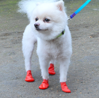 Chaussures pour chien Pet Paw Protect, chaussures ballon, chaussures de pluie jetables imperméables pour chien