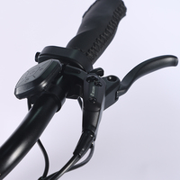 Moto tout-terrain pliable puissante 1000W, tricycle électrique à deux places avec moteur central