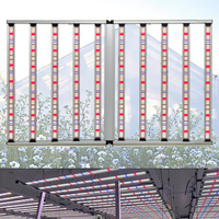Barre lumineuse LED de croissance pour serres commerciales, spectre complet 1000W, IP65, avec puces LM301H LM281B, pour la floraison, 4x4