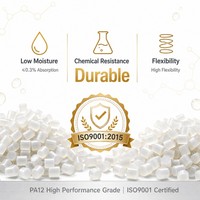 Granulés PA12 Nylon 12, résine polyamide 12 à faible absorption d'humidité pour applications automobiles et pneumatiques