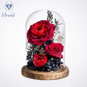 批发保存的玫瑰永远花永恒的玫瑰真正的花大红色保存的玫瑰花在玻璃圆顶为情人节