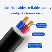 Cable Aislado de PVC VV de 4 Núcleos y 10-300 mm² para Transmisión de Energía Industrial