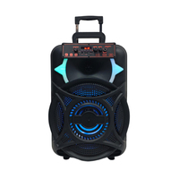 Enceinte trolley HIFI active 12 pouces 2.0 20W avec LED RGB, télécommande 5.0, micro intégré, autonomie 5-10 heures, utilisation extérieure