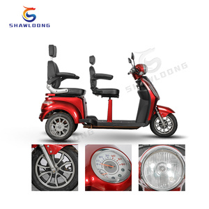 Tricicli per veicoli elettrici a tre ruote per motocicli elettrici Cargo Mini Dumper caricatore elettrico a motore differenziato 1.5 - Product Image 3
