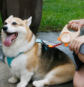 Arnés ajustable elegante y cómodo para mascotas para gatos y perros pequeños - Product Image 3