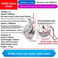 R300C Mini 300 Moteur DC 3V 6V 3500RPM 7000RPM Micro 24mm Moteur à Broche Ronde Faible Courant DIY Ventilateur Solaire Hobby Jouet Modèle