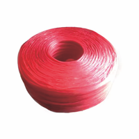 Corde d'emballage, corde de ligature, cordon d'emballage, ficelle en plastique, corde à nouer, corde en nylon, adaptée pour la ligature des crabes ; corde rouge épaisse.