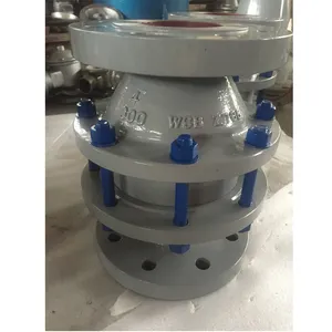 Hoch temperatur Zhenchao In Line Flame Arrestor Detonation Arrestor Oxegyn Flame Arrestor