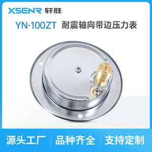 Suzhou แผงเกจวัดแรงดัน, 40Mpa YN100ZT แบบอนาล็อกทนต่อการสั่นสะเทือน - Product Image 4