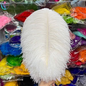 45 50 cm/18-20in màu nhuộm lớn chùm lông đà điểu trắng cho bên trang trí nội thất - Product Image 3