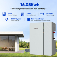 Batterie de stockage d'énergie domestique LiFePO4 DAH, 16 kWh, 314 Ah, 8000 cycles, BMS intelligent, stock EU, OEM ODM, directement de l'usine
