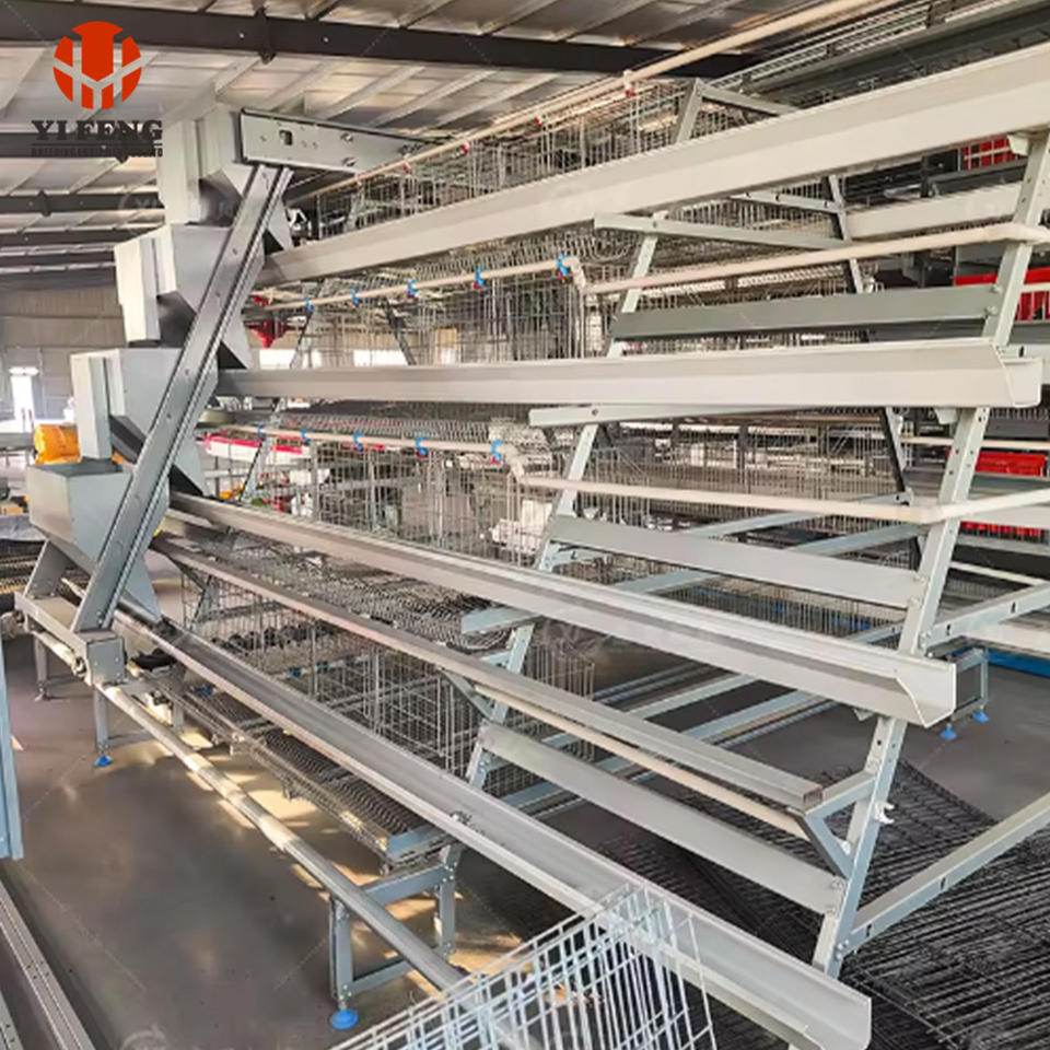 Storage Racks For Poultry Brooder Cage Galvanized Poultry Chicken Cage High Survival Rate Anti ...