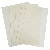 Papier isolant Nomex T410 en polyamide aromatique pour la protection des transformateurs à haute température, matériau isolant en papier Nomex Dupont