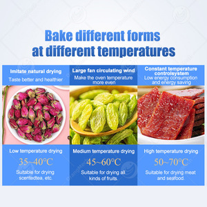 Máquina de secado de pescado industrial ORME, Máquina secadora Biltong, máquina deshidratadora de alimentos para frutas y verduras, precio - Product Image 5