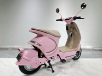 Vélo électrique intelligent 10 pouces 2025, moteur brushless 60V1200W, écran LCD à capteur numérique, autonomie 50 km, batterie lithium, fourche à suspension, 260 kg
