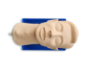 <span class=keywords><strong>Crico</strong></span>-Modèle de ponction thyroïdienne Science médicale Mannequin d'injection de soins infirmiers Modèle anatomique en PVC pour écoles et hôpitaux - Product Image 3