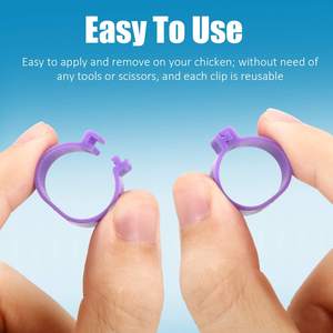 Anillas <span class=keywords><strong>de</strong></span> Colores Numeradas para Patas <span class=keywords><strong>de</strong></span> Aves <span class=keywords><strong>de</strong></span> Corral, Anillas para Patas <span class=keywords><strong>de</strong></span> Pollo, Patos, <span class=keywords><strong>Pollitos</strong></span>, Palomas, Gansos y Aves <span class=keywords><strong>de</strong></span> Corral - Product Image 3