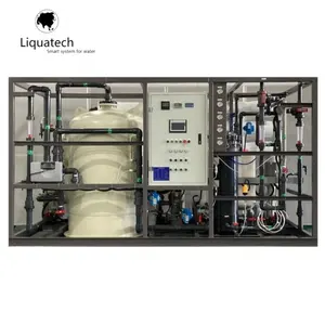 Industrial Skid Mounted Containerized Desalination RO bore water system Reverse osmosis units for drinking water