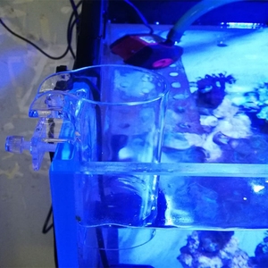 Mangeoire flottante transparente en acrylique pour poissons combattants, crevettes et plantes – Design cylindrique en plastique - Product Image 6